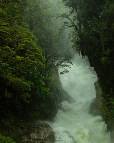 Lạc bước chốn bồng lai Milford Sound